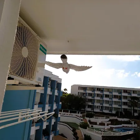 Cousy In Sunny Golf Del Sur 公寓 *